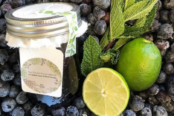 ThePlayfulPreservationist_BlueberryLime The Playful Preservationist